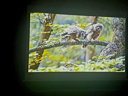 Bojevita kraljica noci 8